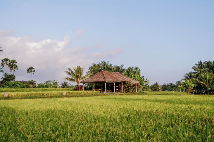 MATHIS Retreat Ubud