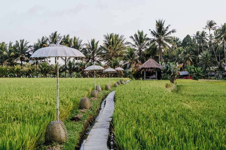 MATHIS Retreat Ubud
