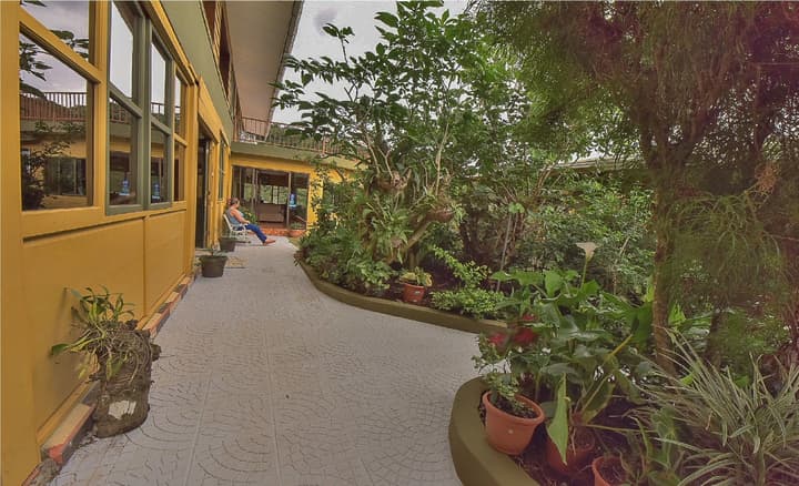 Hotel Don Taco