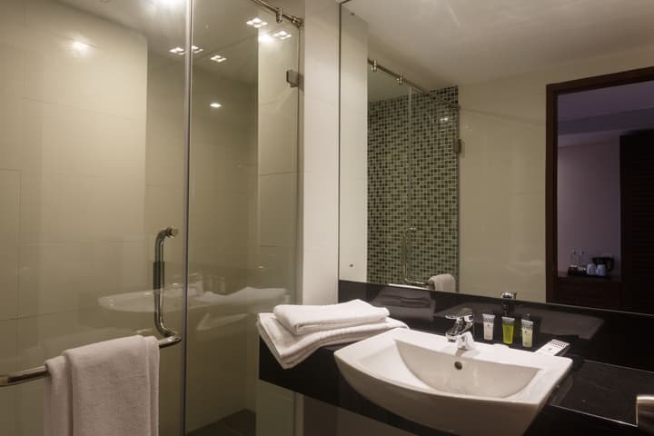 Renuka City Hotel