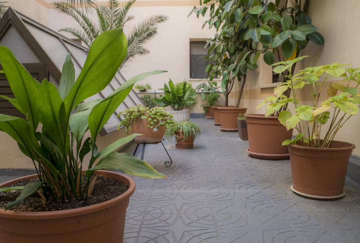 Hotel Zentral Mayoral