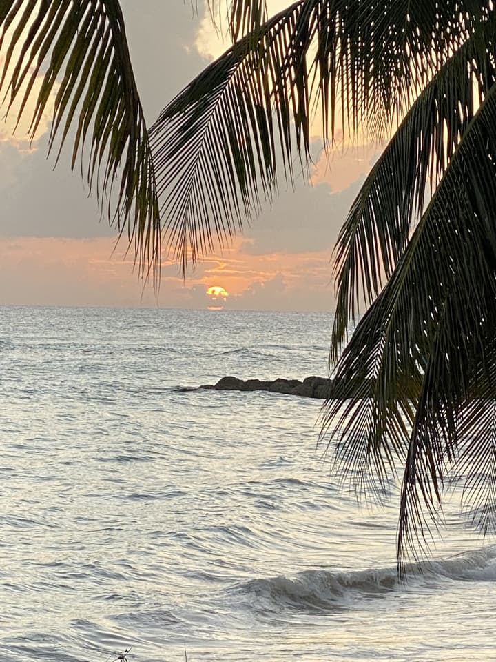 The Royal Bliss Barbados