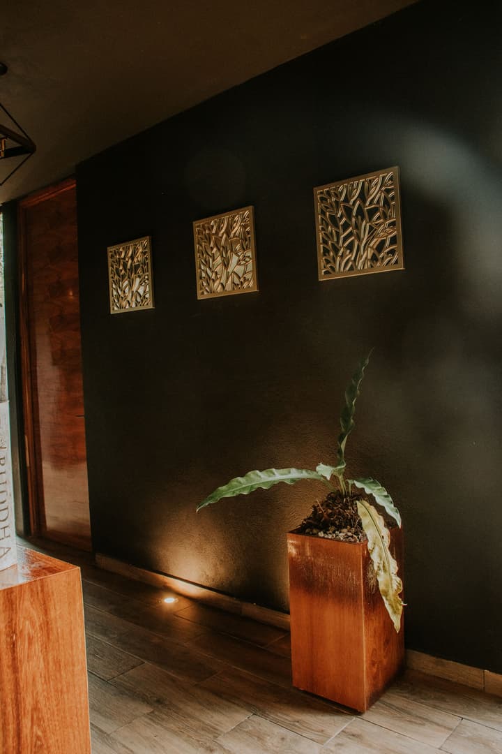 K NAJ Community Cenote residence