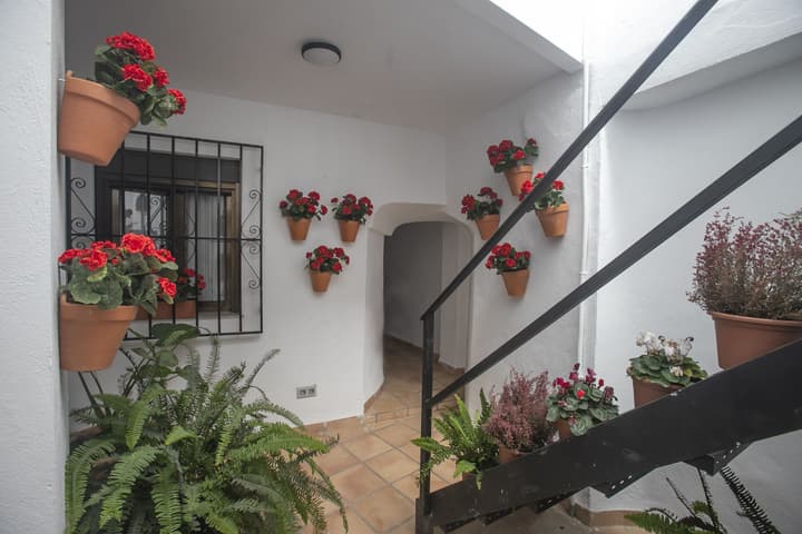 Vitium Córdoba