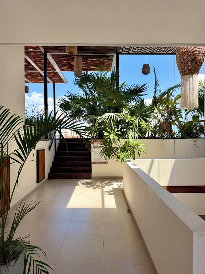 Ah Xok suites 5a Avenida