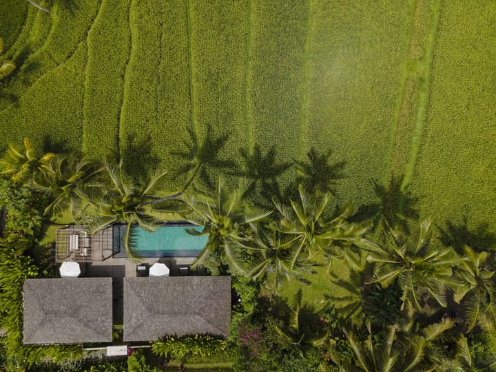 Kappa Senses Ubud