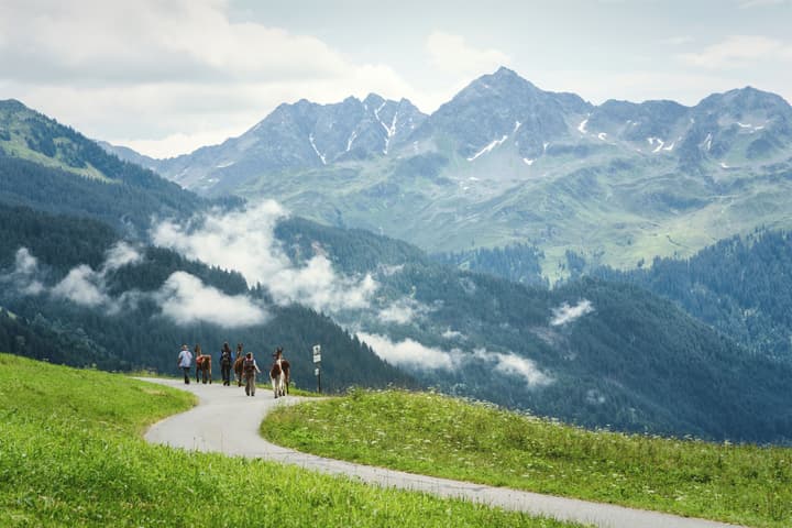 Falkensteiner Family Hotel Montafon - The Leading Hotels of the World