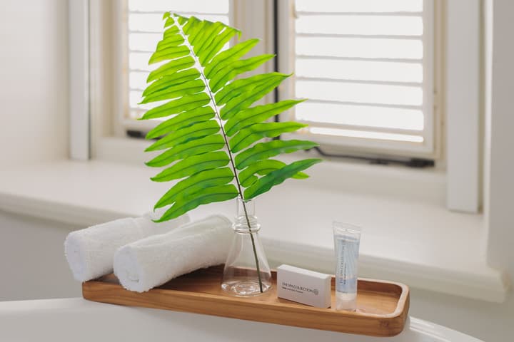 Kura Botanica Hotel