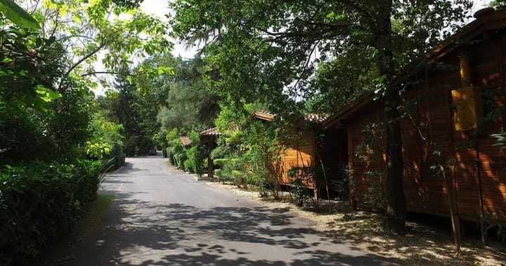 Seven Hills Camping & Village