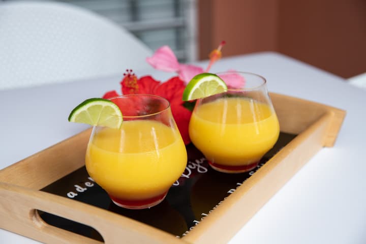 Hôtel Guadeloupe Palm Suites