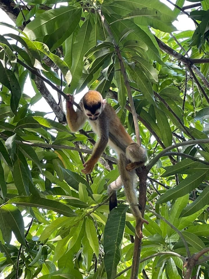 Grand Park Manuel Antonio