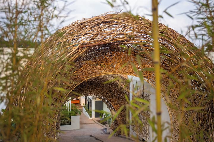 The Nest