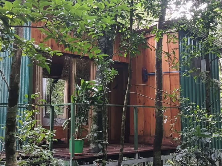 The Green Tree Lodge