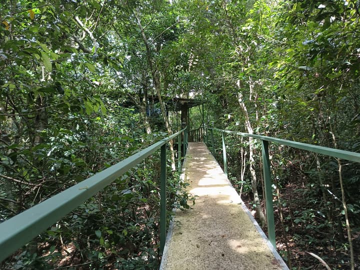 The Green Tree Lodge