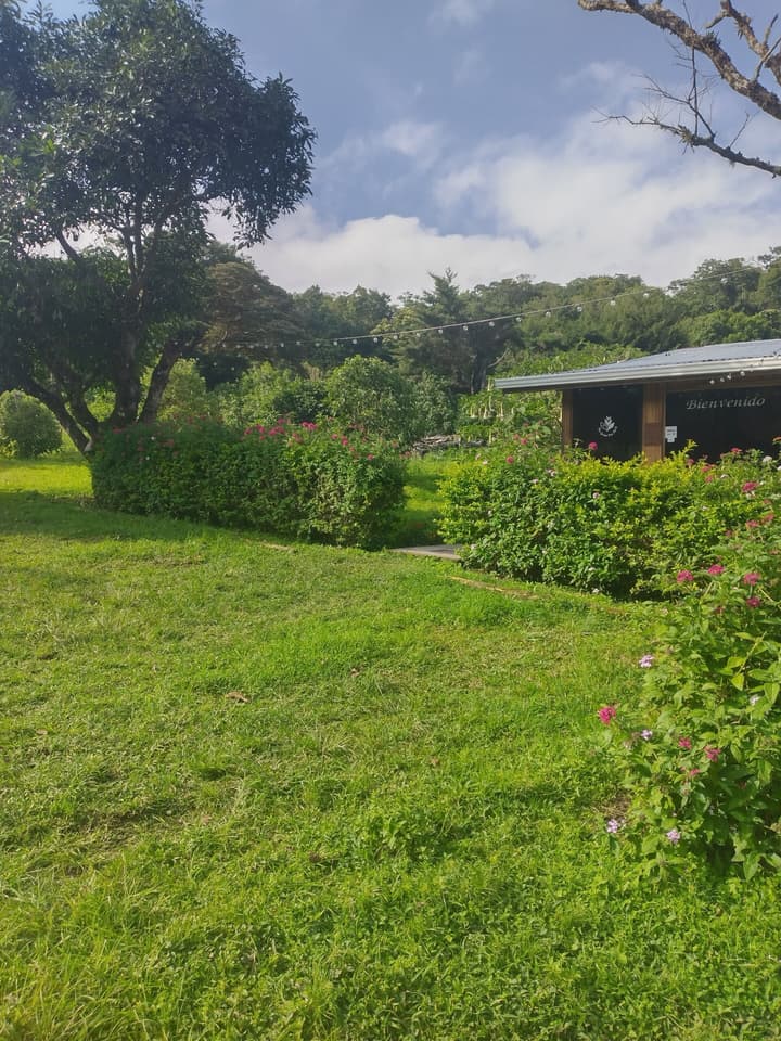 The Green Tree Lodge
