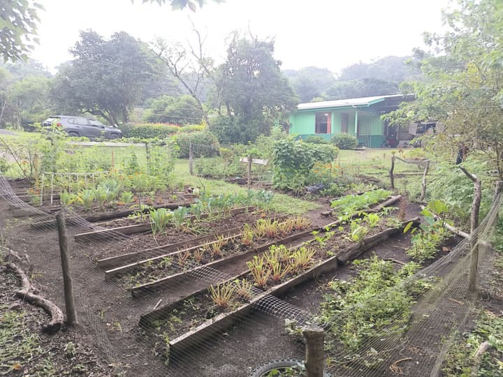The Green Tree Lodge