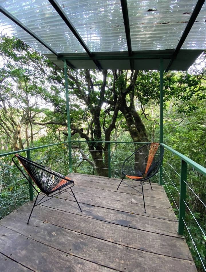 The Green Tree Lodge