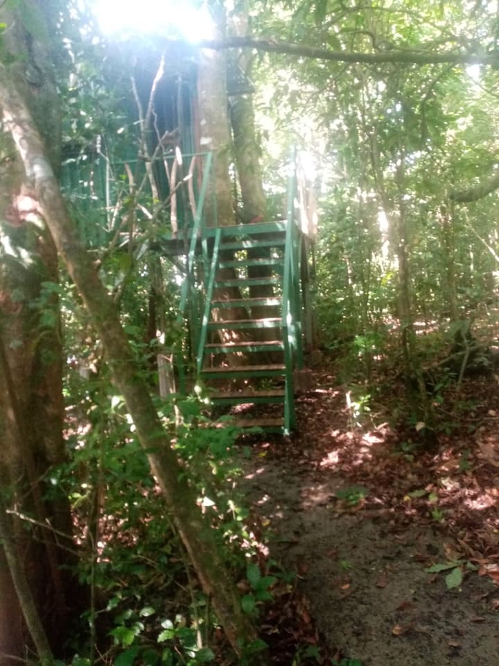 The Green Tree Lodge
