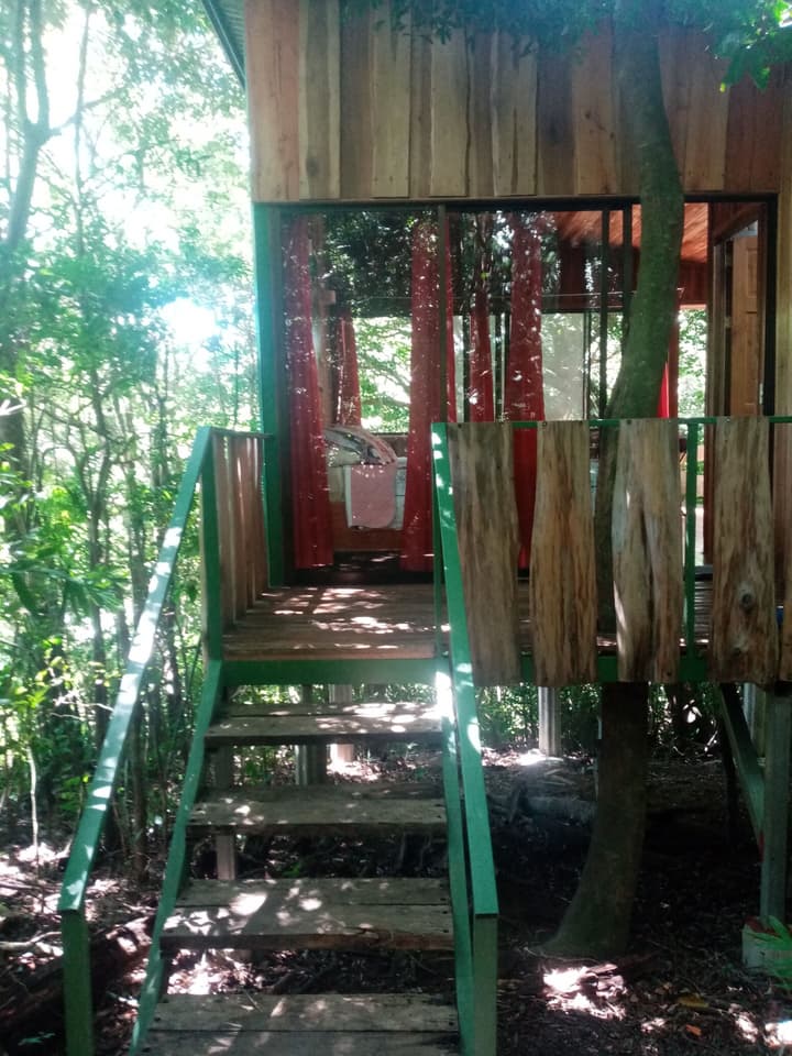 The Green Tree Lodge