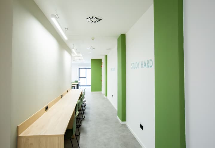 Micampus Residencia Estudiantes Burjassot Parque