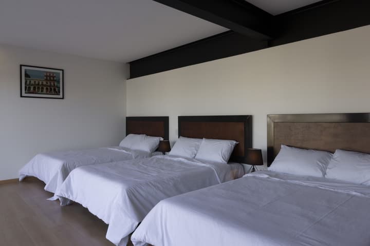 El Doce by Homi Rent