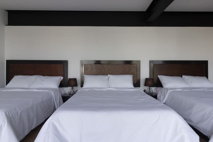 El Doce by Homi Rent