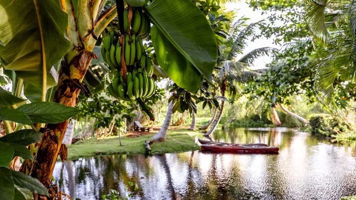 Kibayo Cabarete