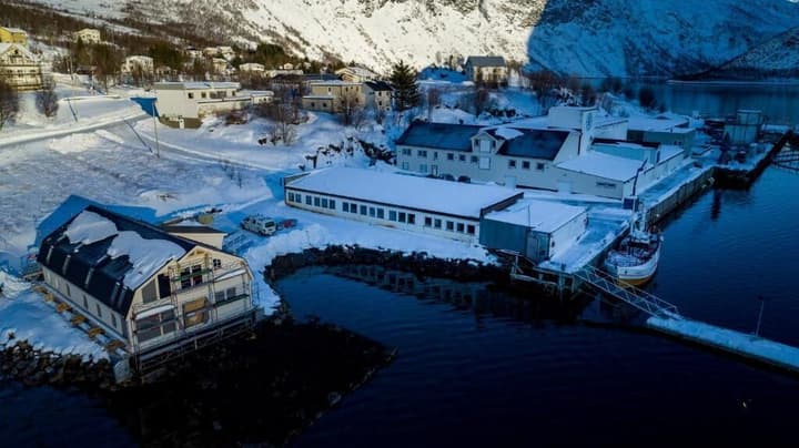 Torsken Brygge - Senja by Heart