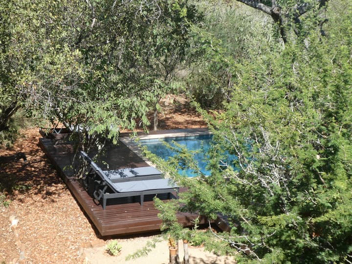 Gem in the bush lodge