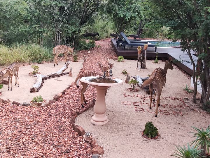 Gem in the bush lodge