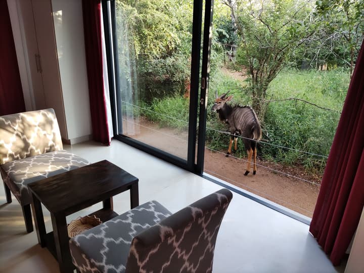 Gem in the bush lodge