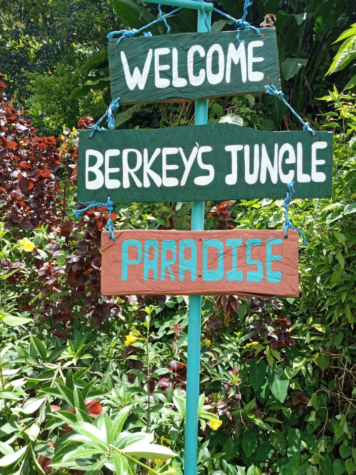Berkey's Jungle Paradise