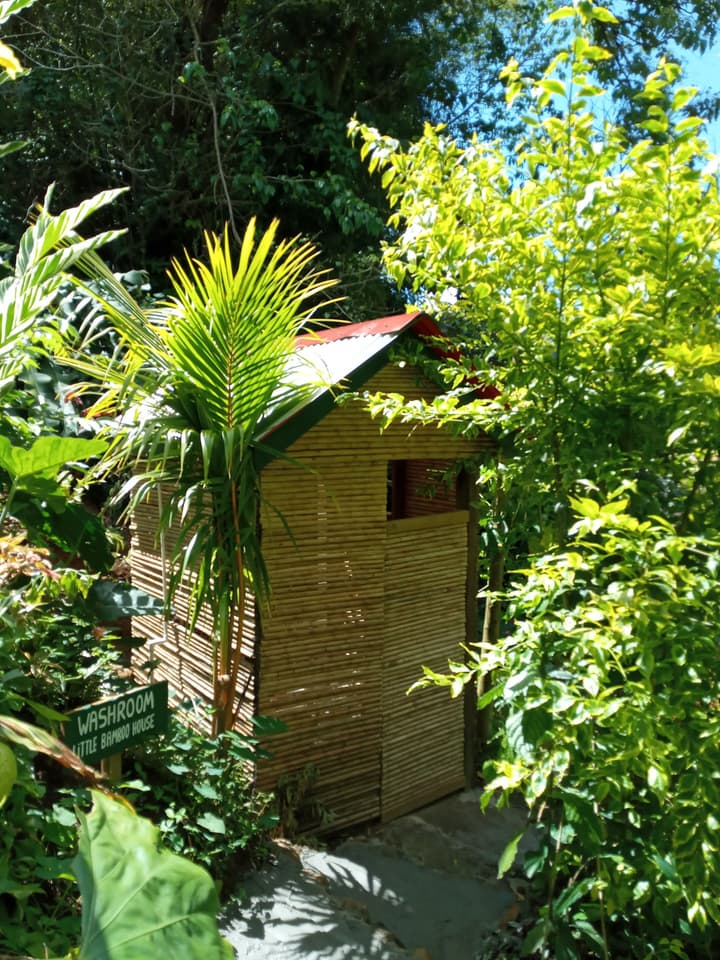 Berkey's Jungle Paradise