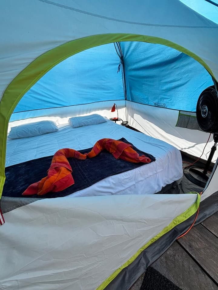 Yes Please Hostel
