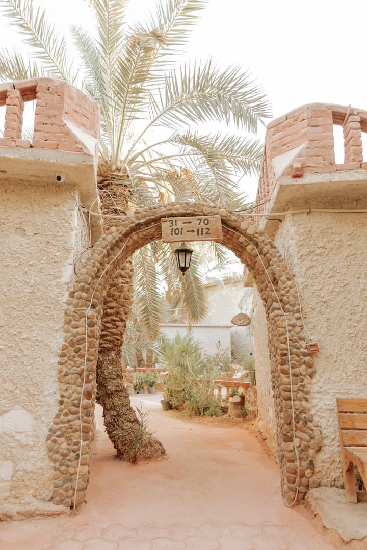 siwa safari paradise hotel
