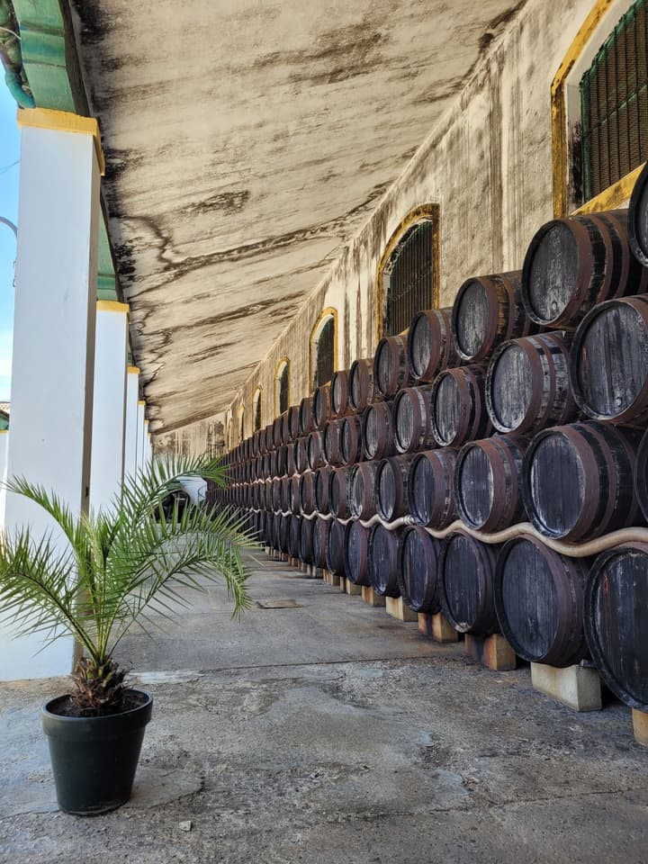 Albariza Hotel Boutique