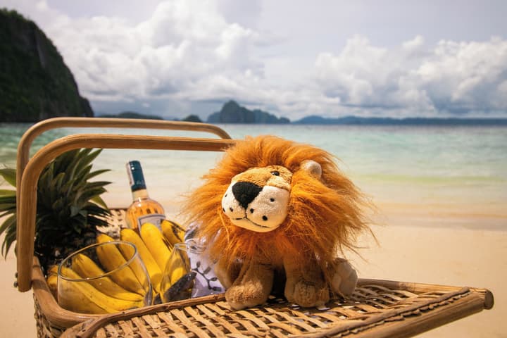 The Funny Lion El Nido