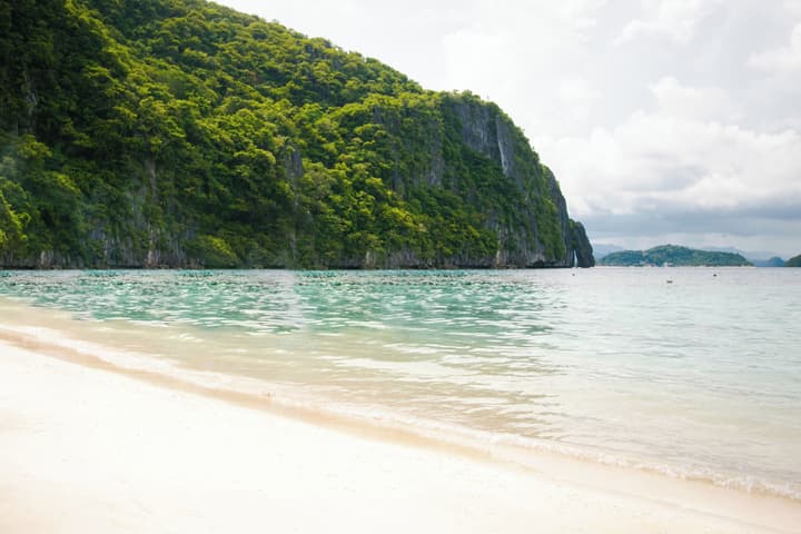 The Funny Lion El Nido