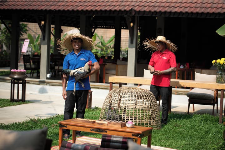 The Community - Siem Reap