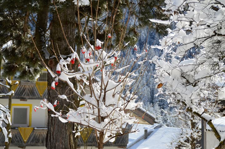 Hotel Chalet Olympia