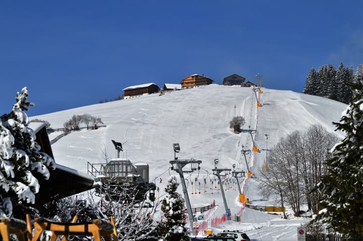 Hotel Chalet Olympia