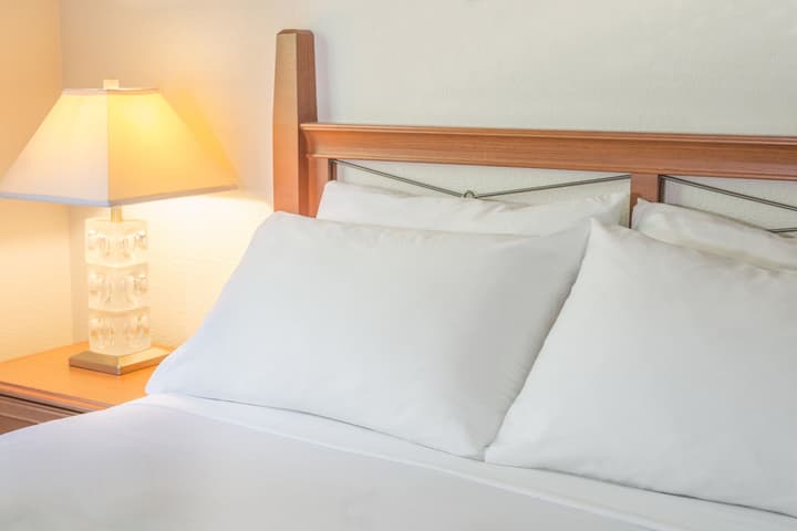 Robin Hood Inn & Suites