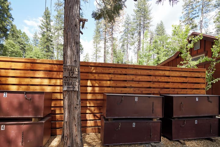 Evergreen Lodge Yosemite
