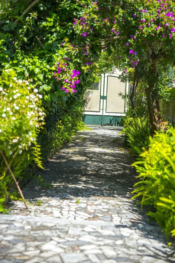Villa Panoramica