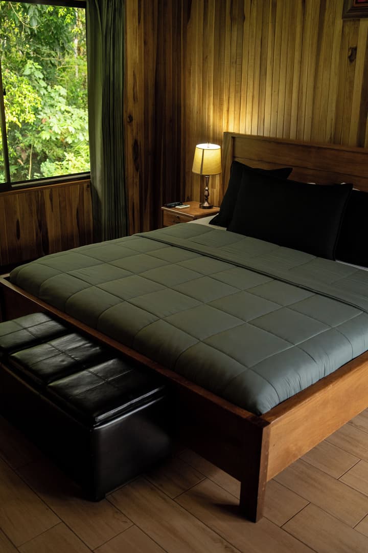 Brisas Arenal Hotel