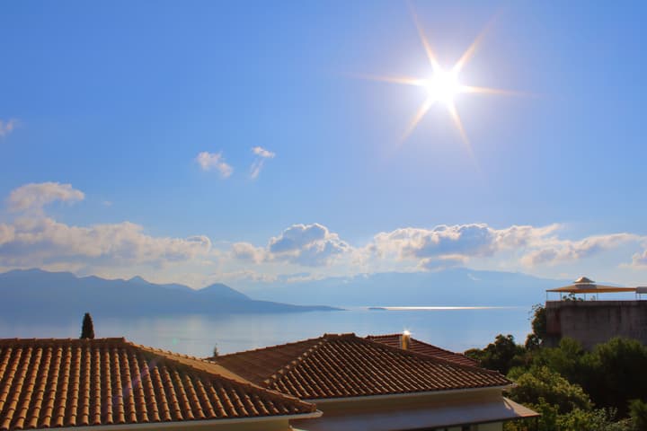 Vergina Star