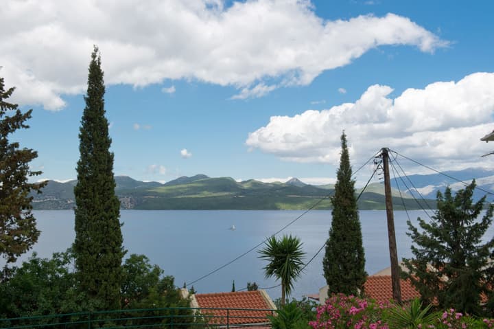 Vergina Star
