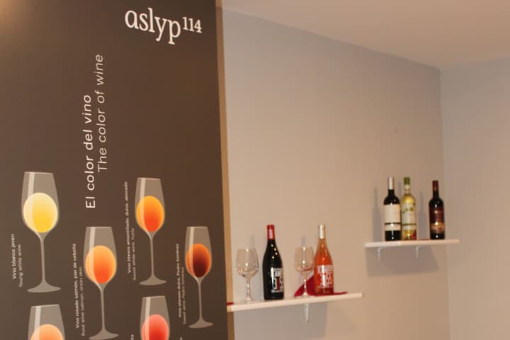 Hostal Aslyp 114