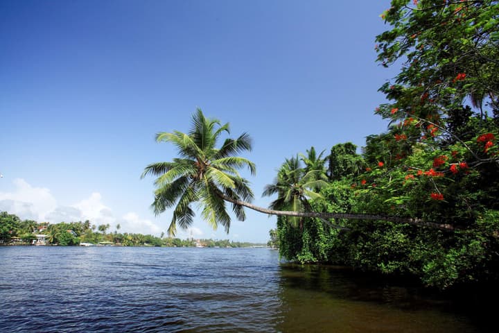Pullman Bentota Resort and Spa