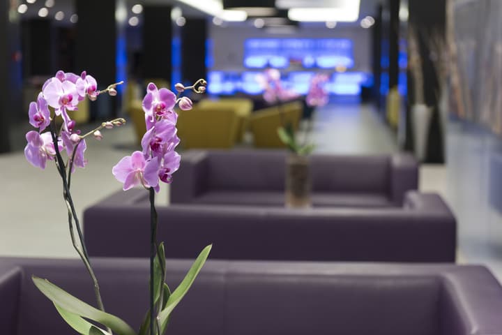 Hotel Gran Canaria Princess - Adults Only (+16)